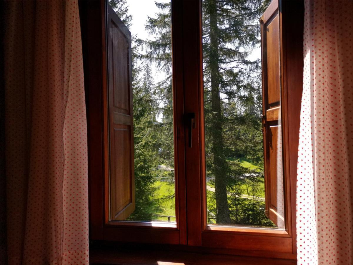 Chalet Stara Jelka Pokljuka Zgornje Gorje Exterior photo