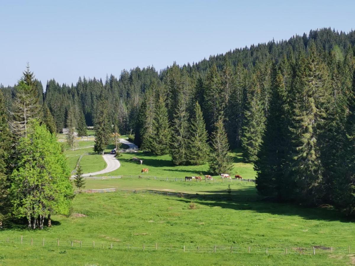 Chalet Stara Jelka Pokljuka Zgornje Gorje Exterior photo